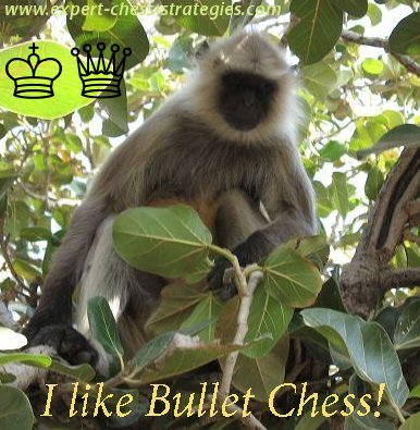 bullet chess