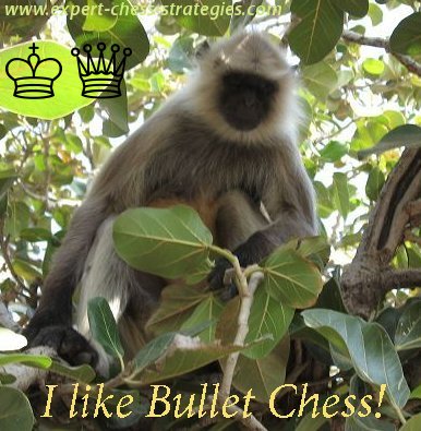 Bullet Chess: Everything You Need to Know