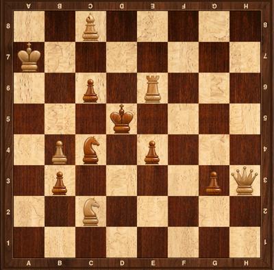 Chess Beginner Puzzle –