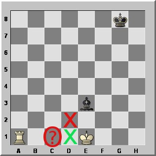 Castles in Chess: Chess Rooks