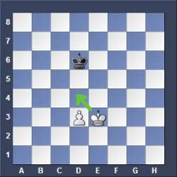 pawn and king endgame