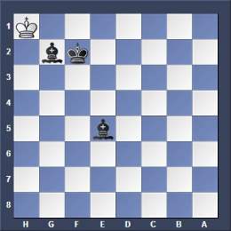 chess two bishops
