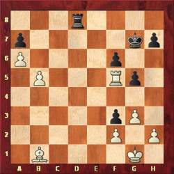 Chess Positions - Checkmate in One